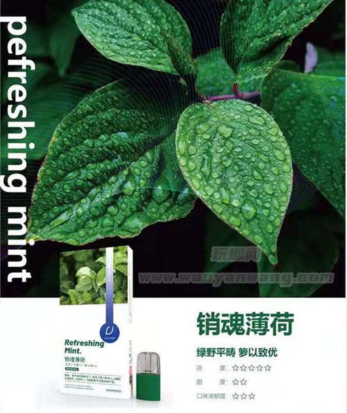 绿箩烟弹销魂薄荷口味测评